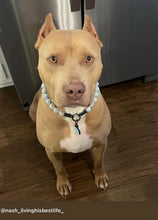 Load image into Gallery viewer, Sky Blue Resin Bead Collar