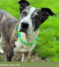Load image into Gallery viewer, Neon Tropic Glow Acrylic Bead Collar