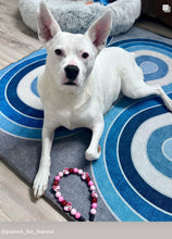 Load image into Gallery viewer, Love, Kitty š Bead Collar