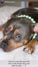 Load image into Gallery viewer, Pistachio Green Resin Bead Collar
