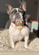 Load image into Gallery viewer, š¼ Multicolor Daisies š¼ Silicone Bead Collar
