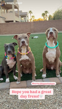 Load image into Gallery viewer, Neon Turquoise Acrylic Bead Collar