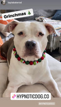 Load image into Gallery viewer, Grinchmas š Bead Collar