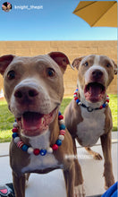 Load image into Gallery viewer, Americana Glam Bead Collar