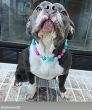 Load image into Gallery viewer, Unicorn Glam 🦄 Bead Collar