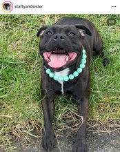 Load image into Gallery viewer, Minty Sage Acrylic Bead Collar - SALE