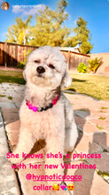 Load image into Gallery viewer, Hot Pink Nova š¤š©· Bead Collar