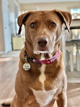 Load image into Gallery viewer, Dog Engraved Circle Name Tags