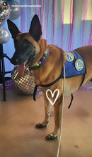 Load image into Gallery viewer, Midnight Cauldron Halloween Glow Bead Collar