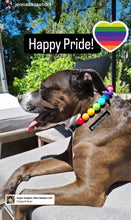 Load image into Gallery viewer, Rainbow š Acrylic Bead Collar