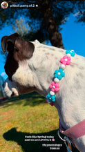 Load image into Gallery viewer, š¼ Pink & Blue Glow Daisies š¼ Silicone Bead Collar