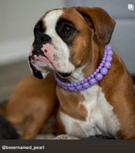 Load image into Gallery viewer, Purple Rain Triplo Acrylic Bead Collar