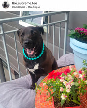 Load image into Gallery viewer, Neon Turquoise Acrylic Bead Collar