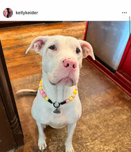 Load image into Gallery viewer, Akira's Pink Lemonade š©·š Bead Collar