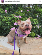 Load image into Gallery viewer, Pink & Purple Crystal Flowers 🌸 Acrylic Bead Collar