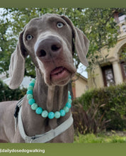 Load image into Gallery viewer, Sea Glass Acrylic Bead Collar