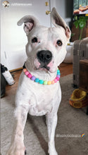 Load image into Gallery viewer, Boho Rainbow Acrylic Bead Collar