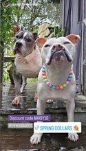 Load image into Gallery viewer, Pink Carnation Bead Collar