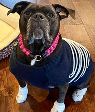 Load image into Gallery viewer, Magenta Rain Triplo Acrylic Bead Collar