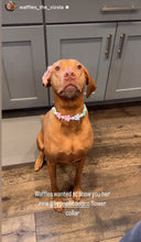 Load image into Gallery viewer, š¼ Spring Fling Daisies š¼ Silicone Bead Collar