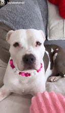 Load image into Gallery viewer, Magenta Glow Acrylic Bead Collar