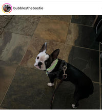 Load image into Gallery viewer, Green Glow in the Dark XS Bead Collar