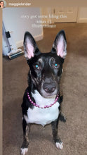 Load image into Gallery viewer, š§ 19.5" Slip On (Rose Gold O-Ring) Mini Orchid Purple Pearl Bead Collar - PRE-MADE/FINAL SALE
