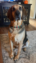 Load image into Gallery viewer, Christmas Frost Bead Collar