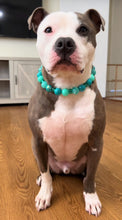 Load image into Gallery viewer, Caribbean Bead Collar