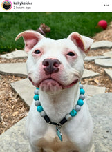 Load image into Gallery viewer, Coastal Gray Acrylic Bead Collar