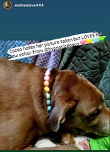 Load image into Gallery viewer, Pastel Rainbow Acrylic Bead Collar
