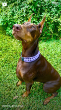 Load image into Gallery viewer, Purple Rain Triplo Acrylic Bead Collar