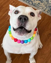 Load image into Gallery viewer, Rainbow š Acrylic Bead Collar