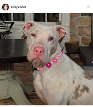 Load image into Gallery viewer, š¼ Pink Ombre Daisies š¼ Silicone Bead Collar