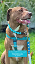 Load image into Gallery viewer, Oasis Swirl Acrylic Bead Collar