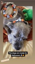 Load image into Gallery viewer, Orange Boo š» Halloween Glow Bead Collar