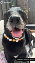 Load image into Gallery viewer, Orange Boo š» Halloween Glow Bead Collar