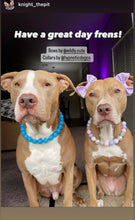 Load image into Gallery viewer, Fairy Tale Bead Collar