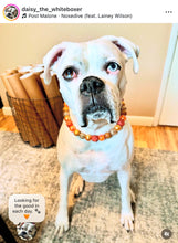 Load image into Gallery viewer, Autumn Leaves š Bead Collar