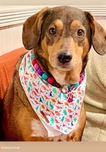 Load image into Gallery viewer, Hypnotic Dog Signature Acrylic Bead Collar