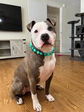 Load image into Gallery viewer, Caribbean Bead Collar