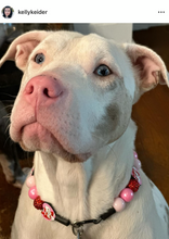 Load image into Gallery viewer, Love, Kitty š Bead Collar
