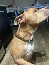 Load image into Gallery viewer, Tortoiseshell Ceramic Bead Collar