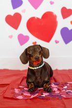 Load image into Gallery viewer, Pastel Rainbow Hearts Bead Collar