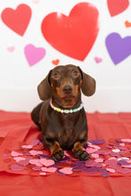 Load image into Gallery viewer, Pastel Rainbow Hearts Bead Collar