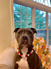 Load image into Gallery viewer, š§ 20" Slip On (Black O-Ring) Candy Cane Glam Bead Collar - PRE-MADE/FINAL SALE