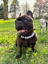 Load image into Gallery viewer, Electric Jade Acrylic Bead Collar