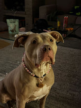 Load image into Gallery viewer, Dog Engraved Circle Name Tags