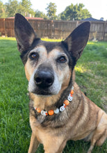 Load image into Gallery viewer, Orange Boo š» Halloween Glow Bead Collar