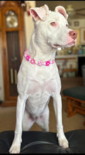 Load image into Gallery viewer, š¼ Pink Ombre Daisies š¼ Silicone Bead Collar